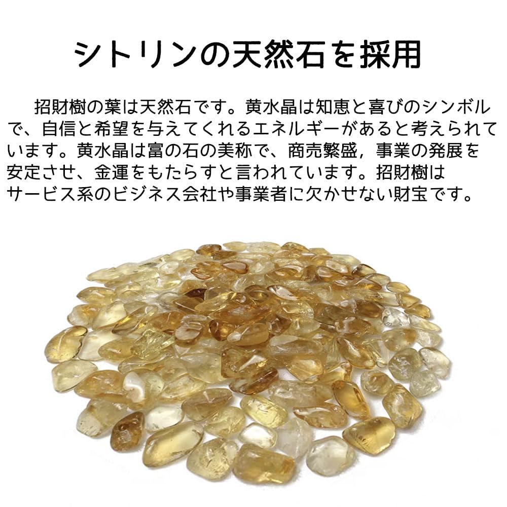 Amazon.co.jp: MYONEEN 招財樹 金のなる木 黄水晶 シトリン